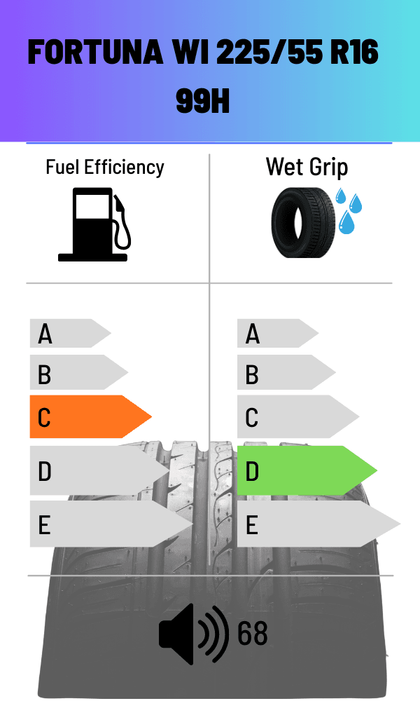 Fortuna 91V WI GOWIN UHP WINTER 205/55 R16