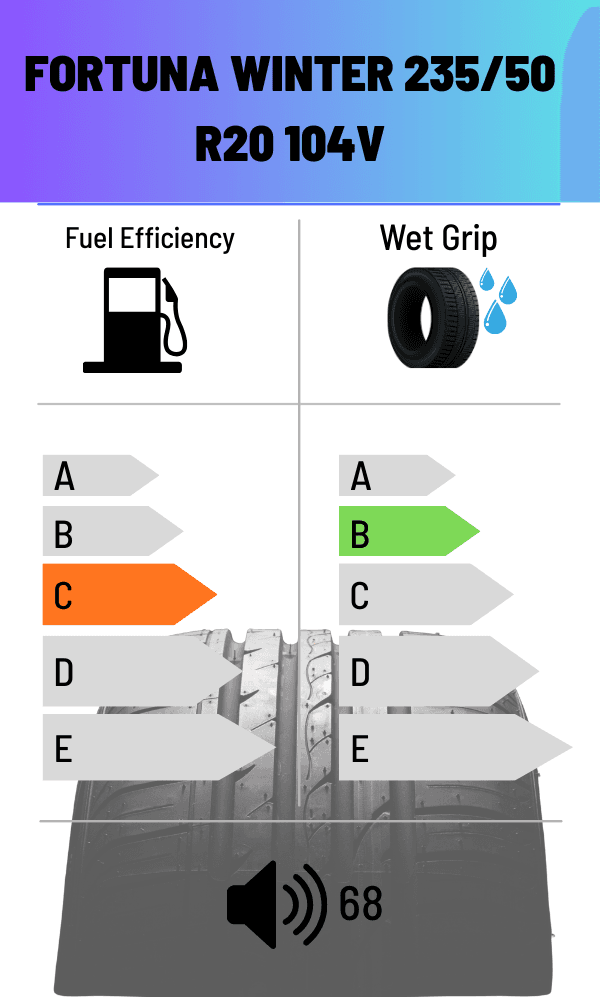 Fortuna 104V GOWIN UHP3 XL WINTER 255/45 R19