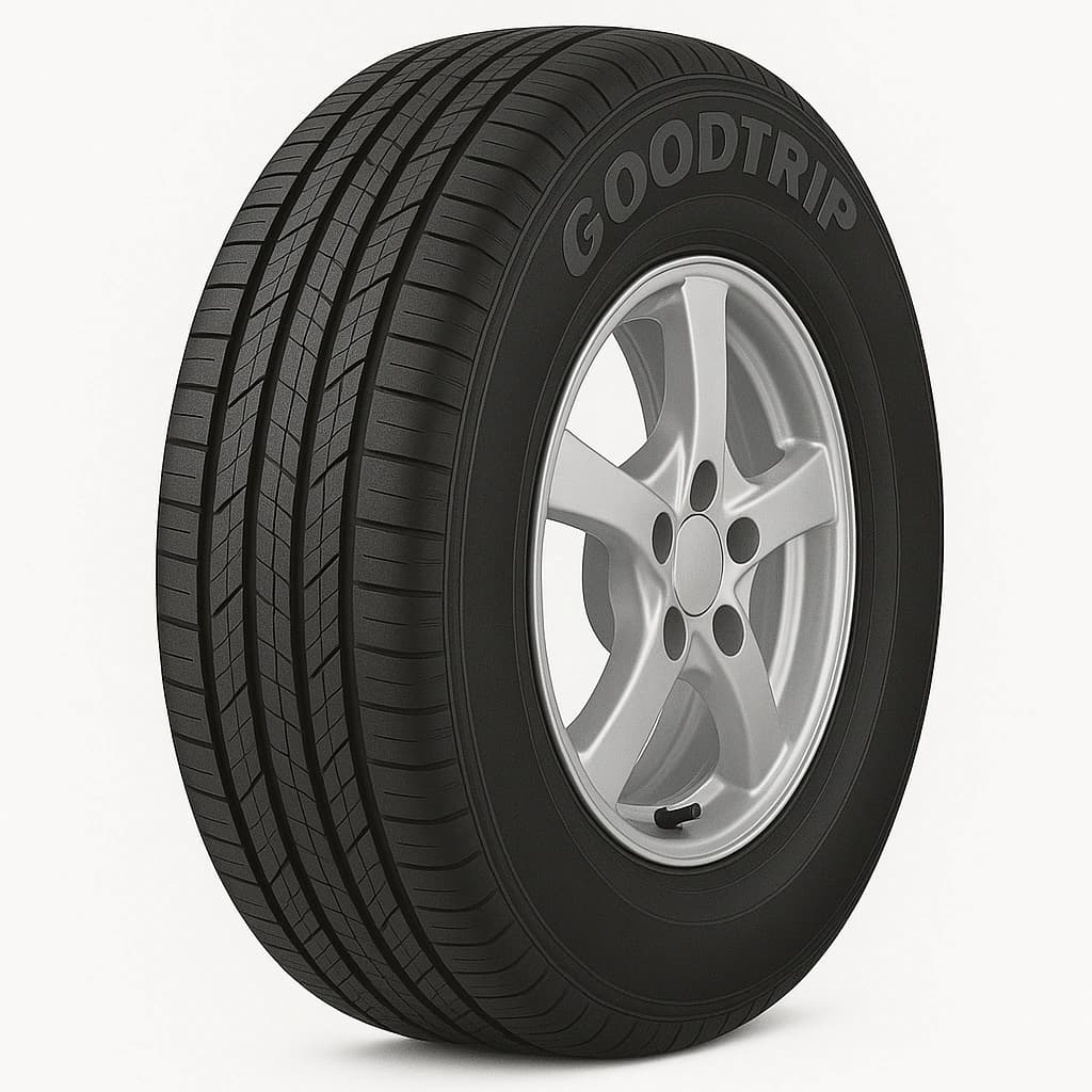 Goodtrip 95W BLUEGUARD AS