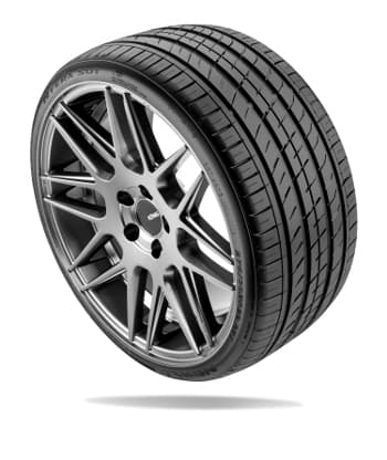 Nexen N Fera SU1