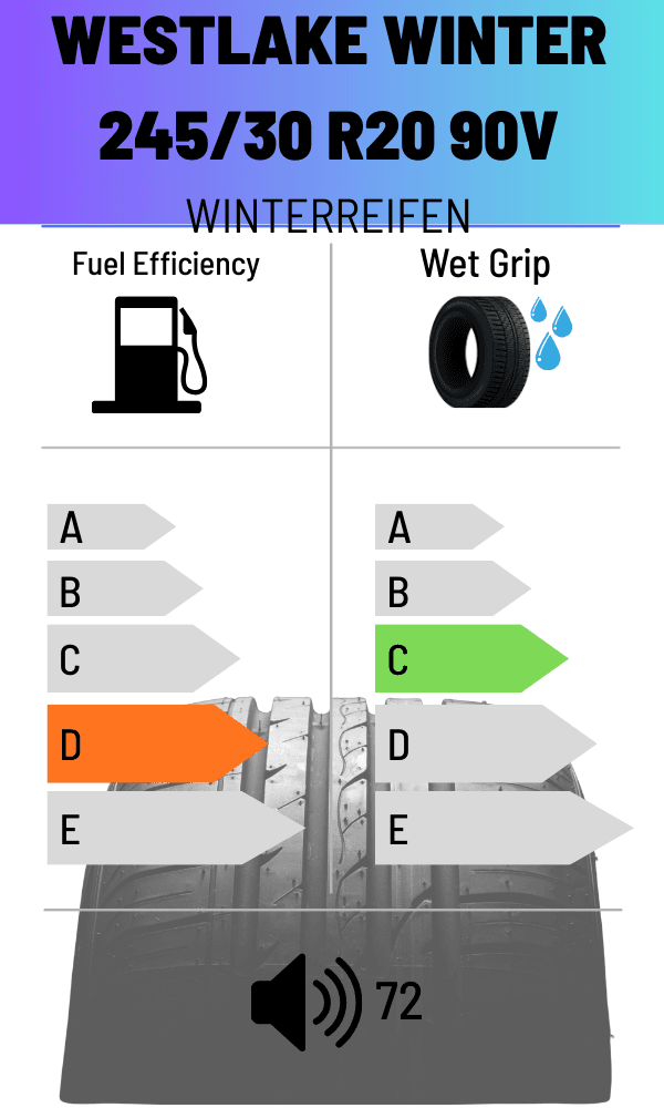Westlake 90V WINTER SW608 245/30 R20