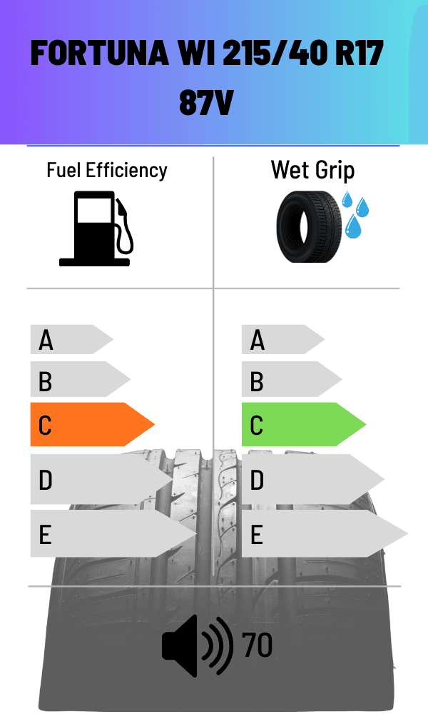 Fortuna 95V GOWIN UHP2 XL WINTER 225/45 R18