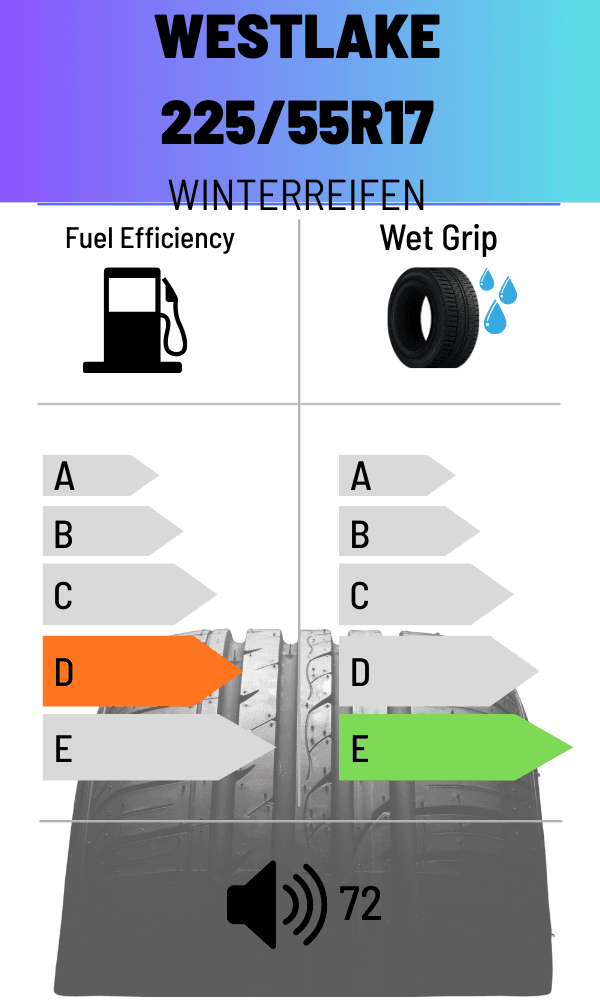Westlake 101H WINTER SW618 225/55 R17