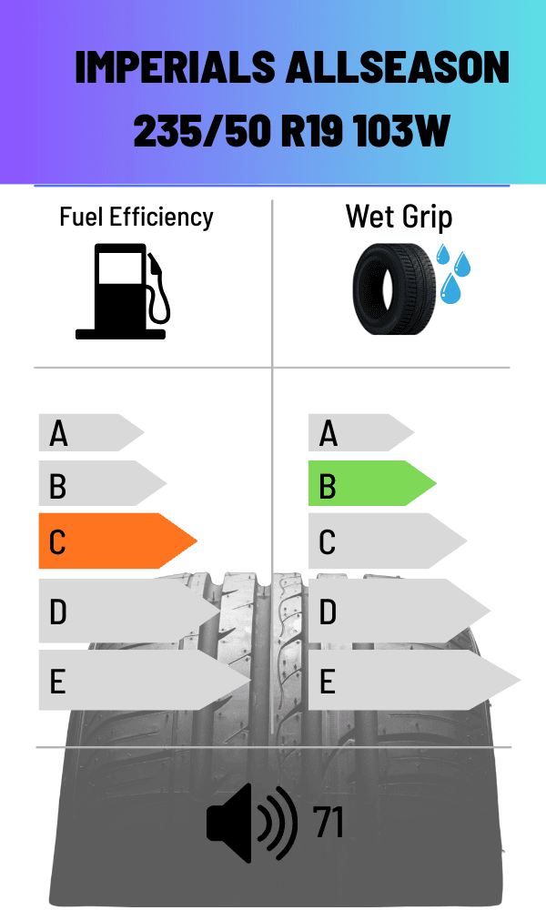 Imperials 103W FS ALLWETTER 235/55 R17