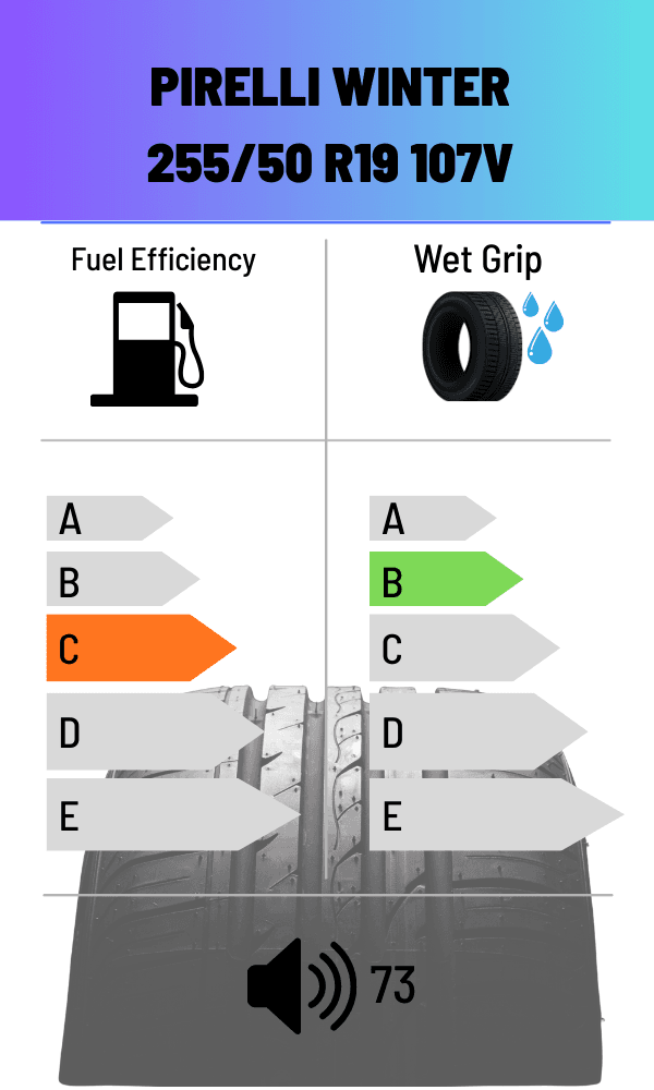 Pirelli 107V WINTERREIFEN SCORPION WINTER 255/50 R19