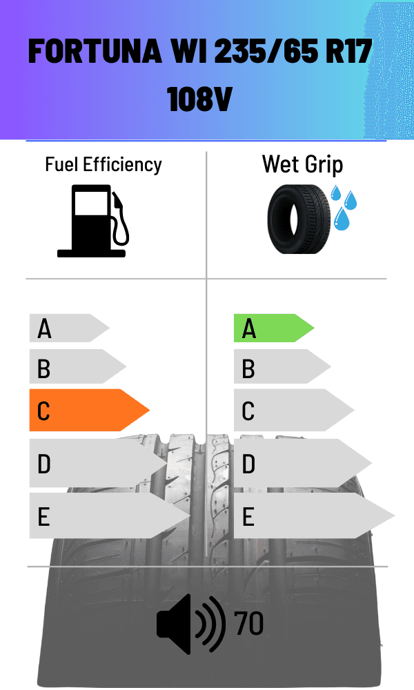 Fortuna 121/119R GOWIN VAN 10PR WINTER 235/65 R16