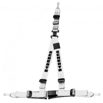 Schroth Rallye 3 asm silber mit schwarzem Flock rechts